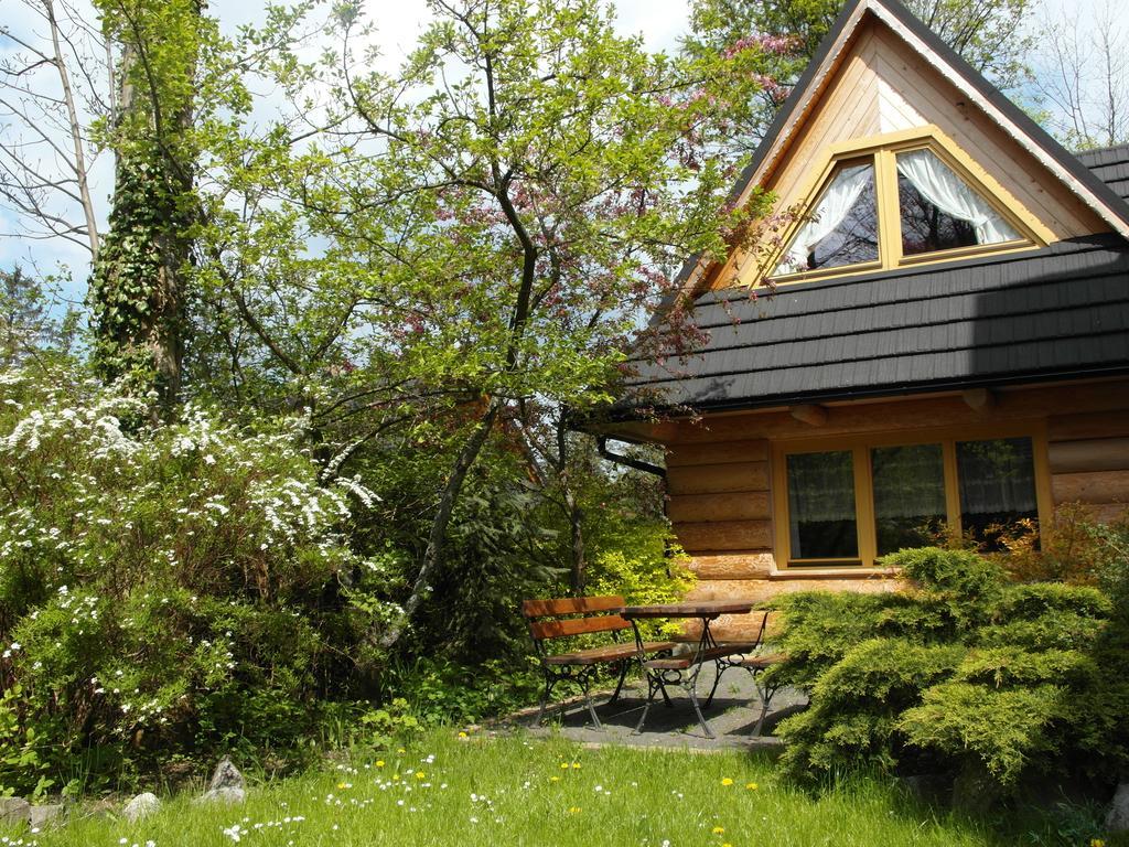 Regionalny Domek Pod Skocznia 扎科帕内 外观 照片
