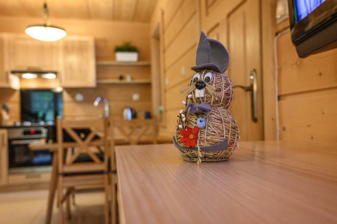 Regionalny Domek Pod Skocznia 扎科帕内 外观 照片